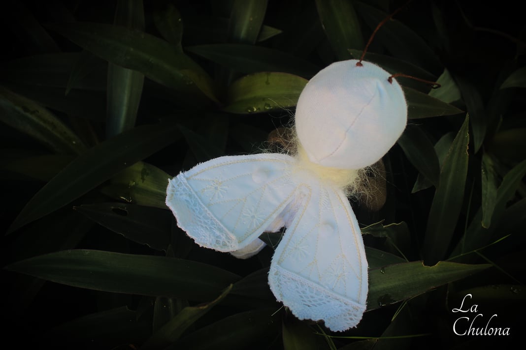 Slideshow image 6