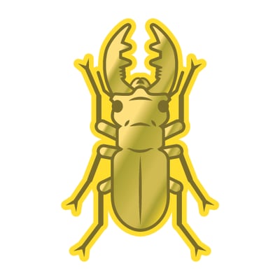 Golden Stag Beetle Home