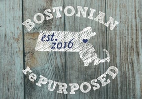 Bostonian Repurposed Home
