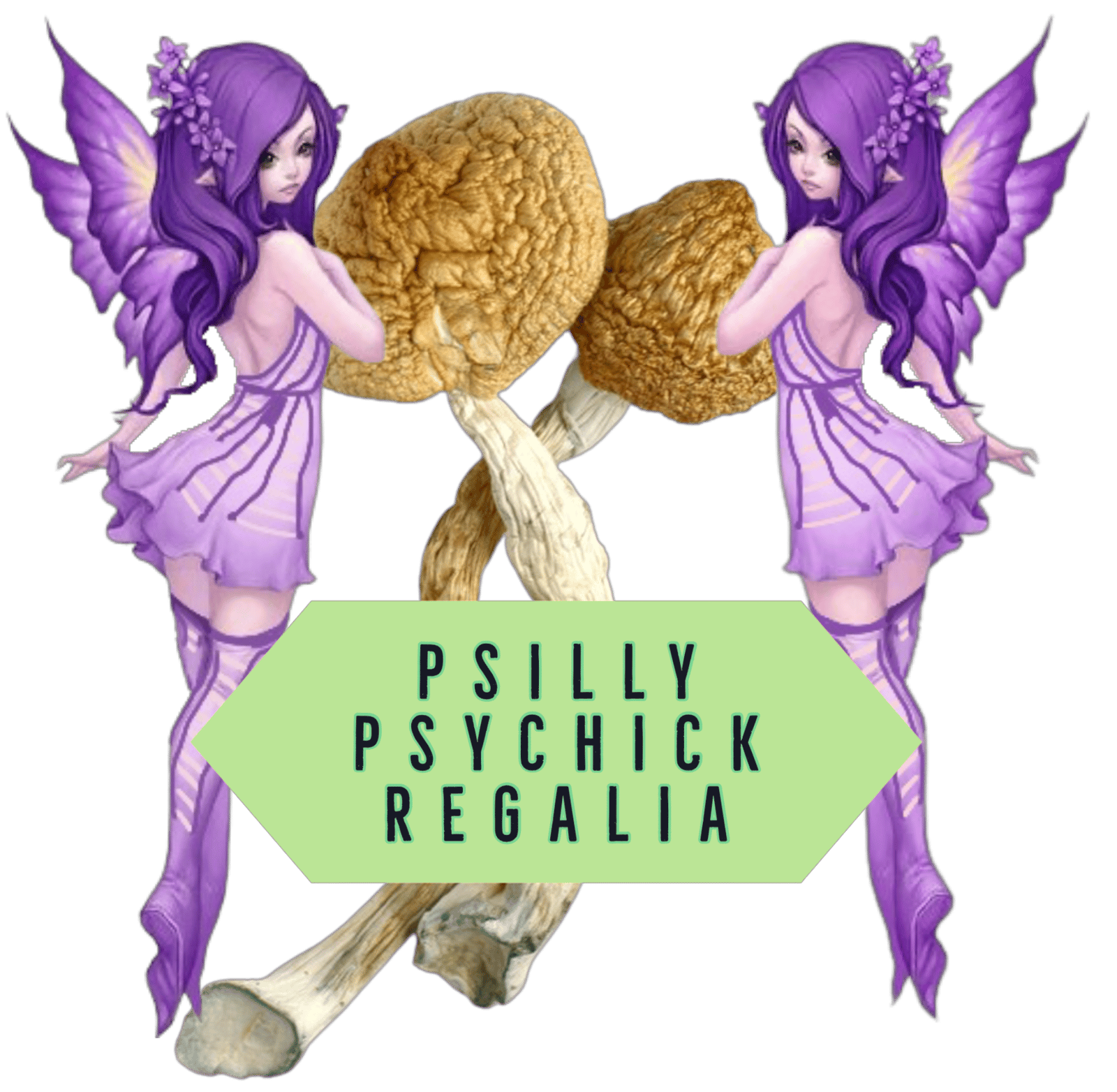 PSILLY PSYCHICK REGALIA 