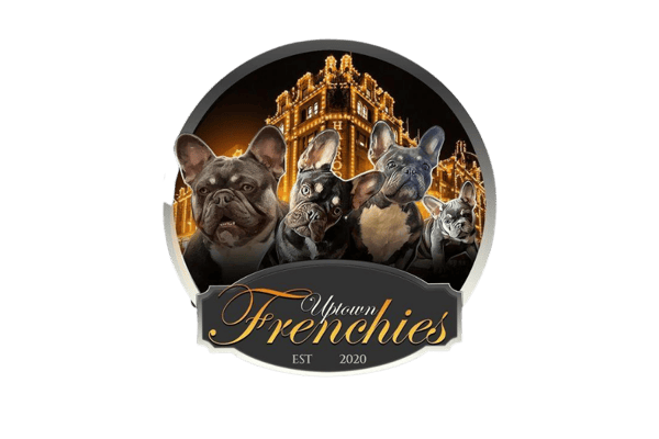 UPTOWN FRENCHIES Home