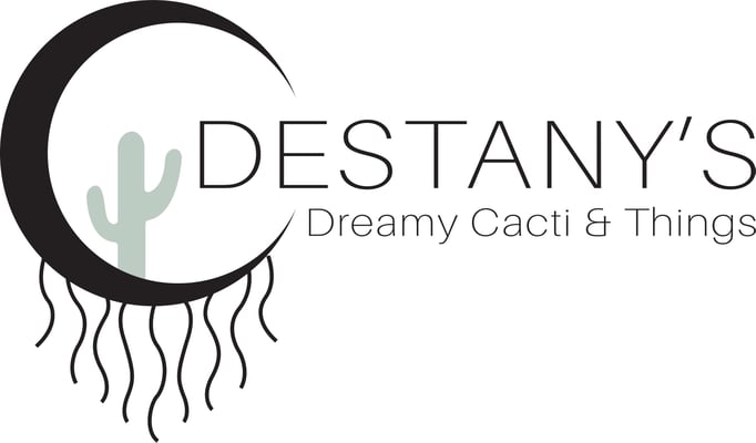 Destany's Dreamy Cacti & Things Home