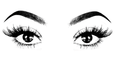 Welcome let’s shake that weight