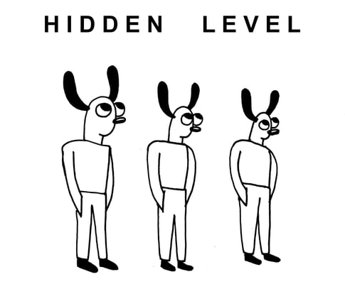 Hidden Level Home