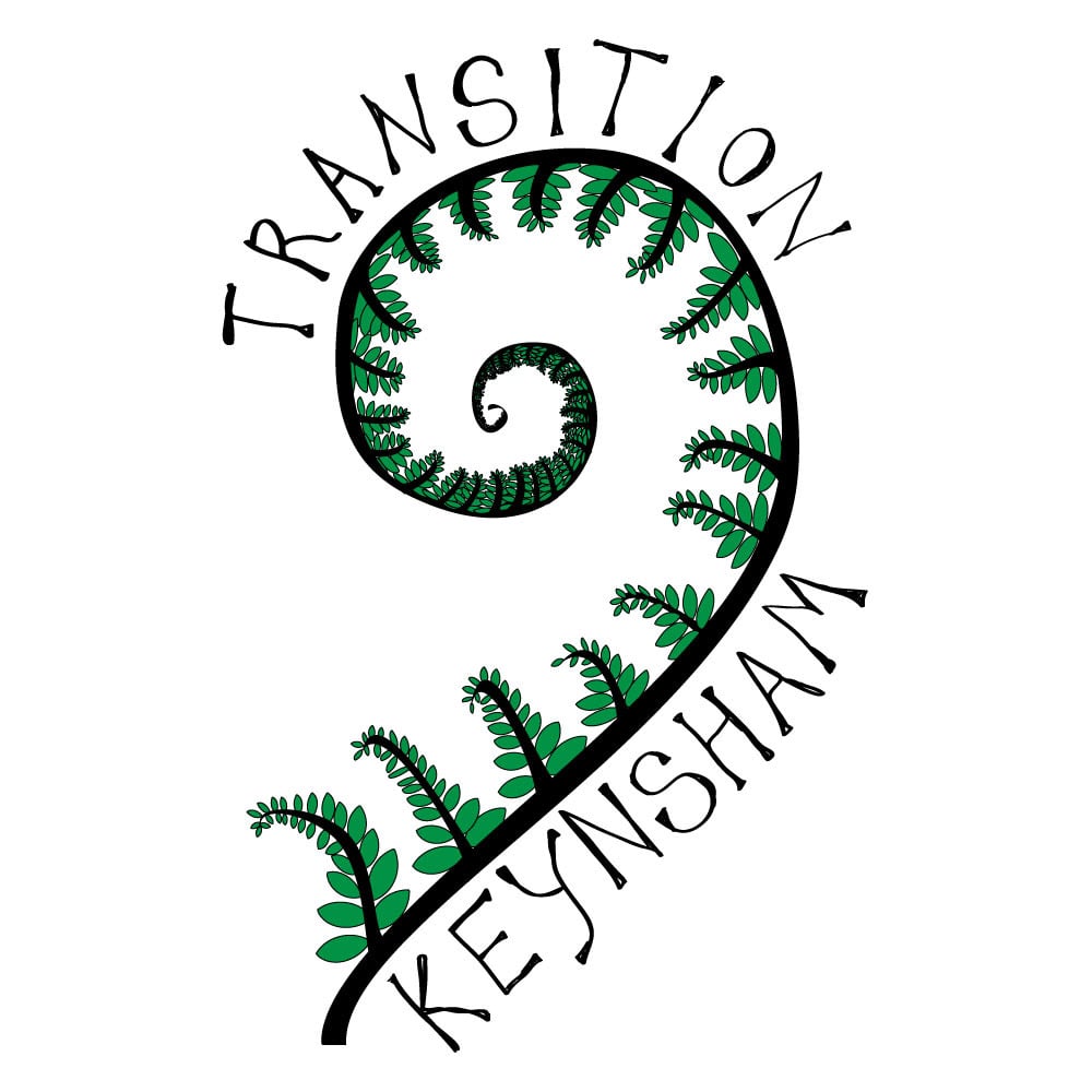 Transition Keynsham