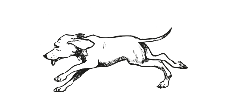 PWDL