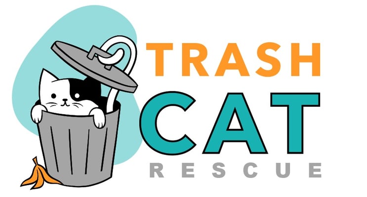 Trash Cat Rescue Home