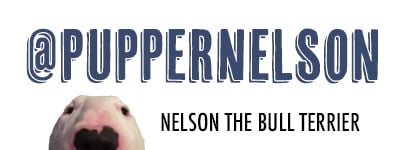 #NelsonShop - @PupperNelson Home