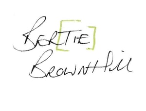 Ber[TIE] Brownhill Home