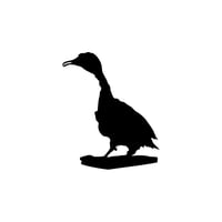 ILL OMEN RECORDS