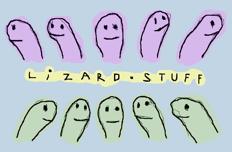 Lizard Stuff