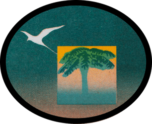 Ines Gradot Studio Home