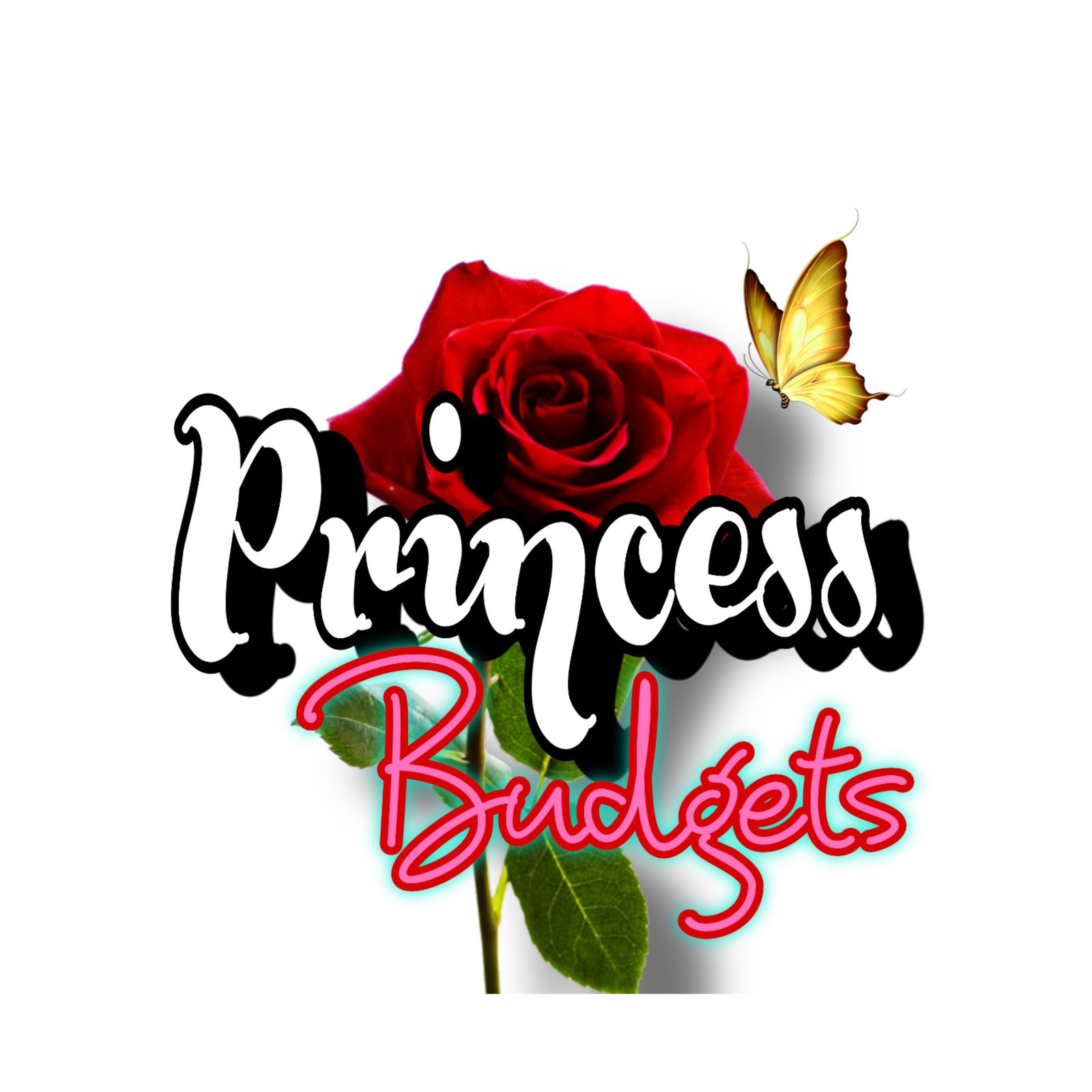 Princess Budgets 