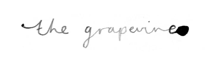 The Grapevine Home