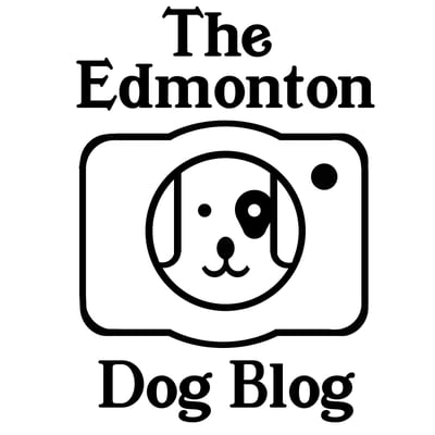 The Edmonton Dog Blog