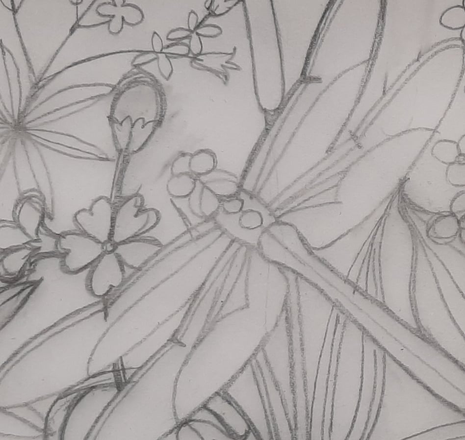 Slideshow image 3