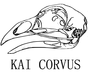 Kai Corvus