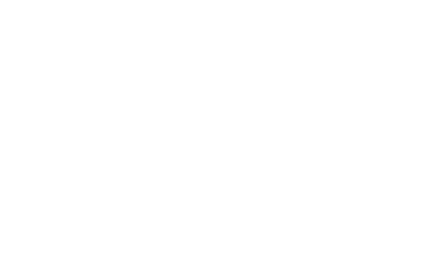 Lily's Country Soaps