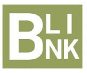 B- Link Design