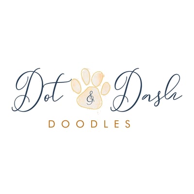 Dot & Dash Doodles Home