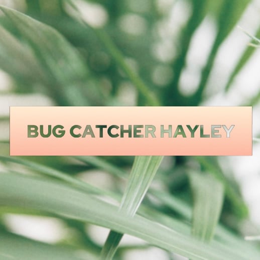 Bug Catcher Hayley