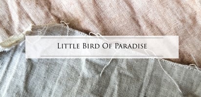littlebirdofparadise.bigcartel.com Home