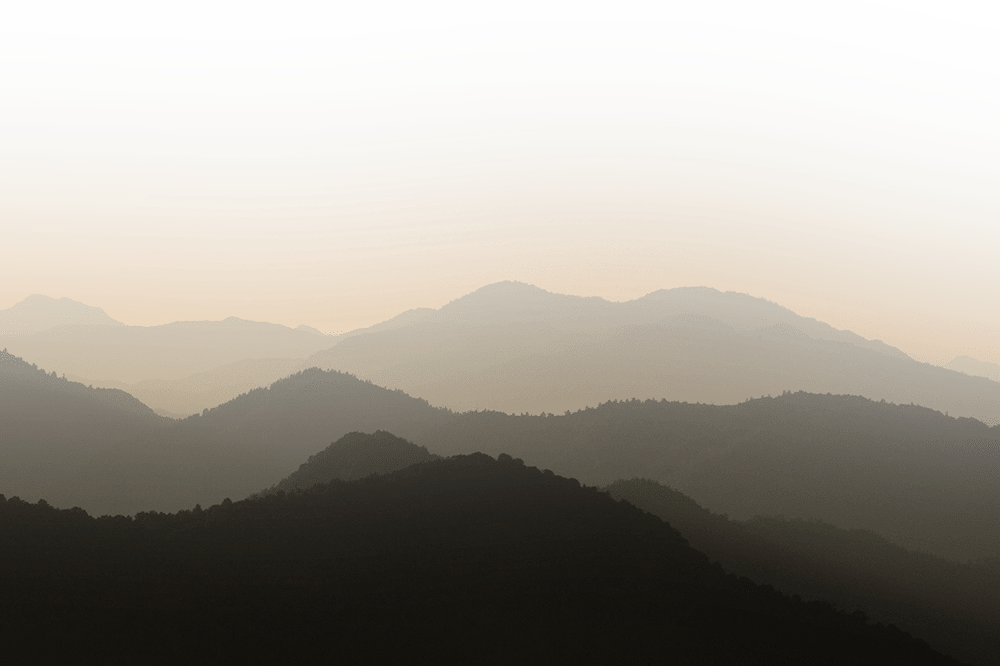 Welcome to Dept. of Wander