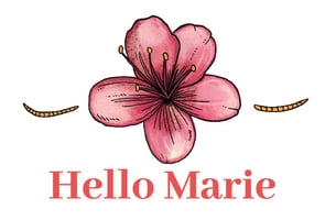 Hello Marie Home