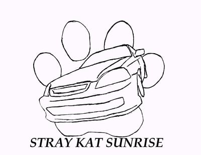 Stray Kat Sunrise