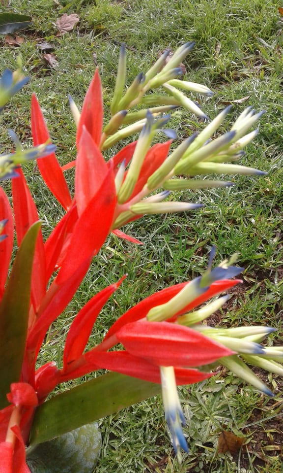 Slideshow image 3