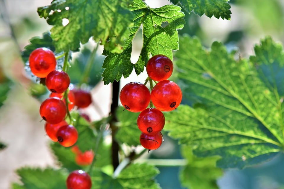 Slideshow image 10