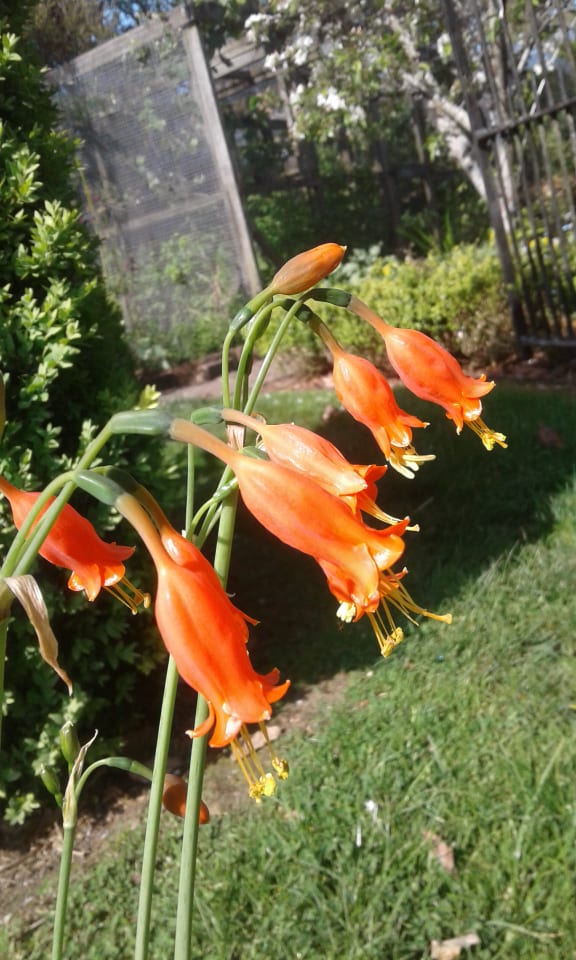Slideshow image 15