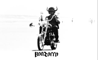 bonzorro Home