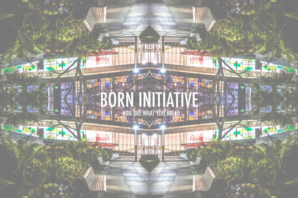 Born Initiative
