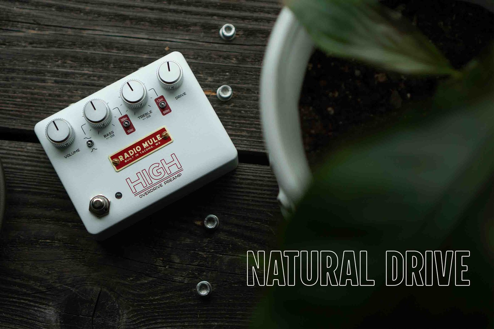 Home | Radio Mule