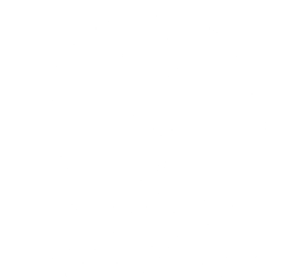 CorvusNest Home
