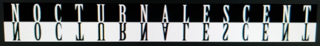 nocturnalescent Home