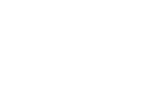 Lobo Defense Home