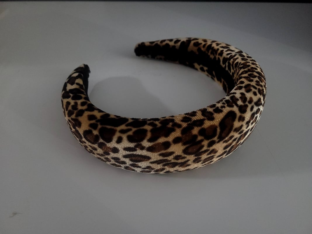 Slideshow image 5