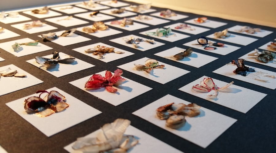 Slideshow image 3