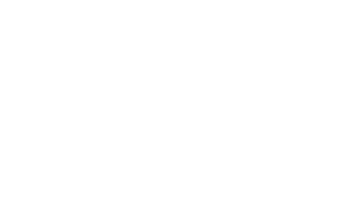 The Cannabis Collective Home