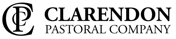 Clarendon Pastoral Co.