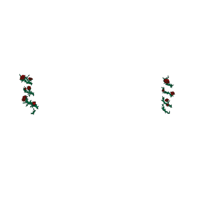 whxami Home