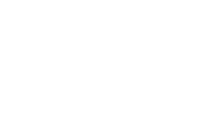 Animal Arithmetic Store