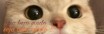 Arteria da Maclsasan