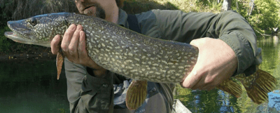 Slideshow image 5