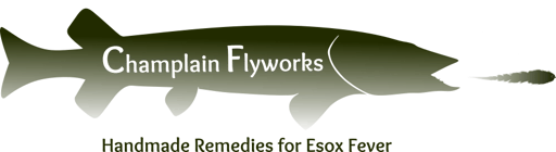 Champlain Flyworks Home