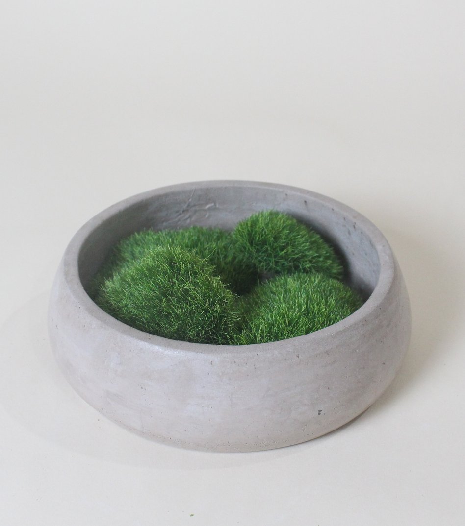 SOLD- Concrete Moss Bowl | Table Centerpiece