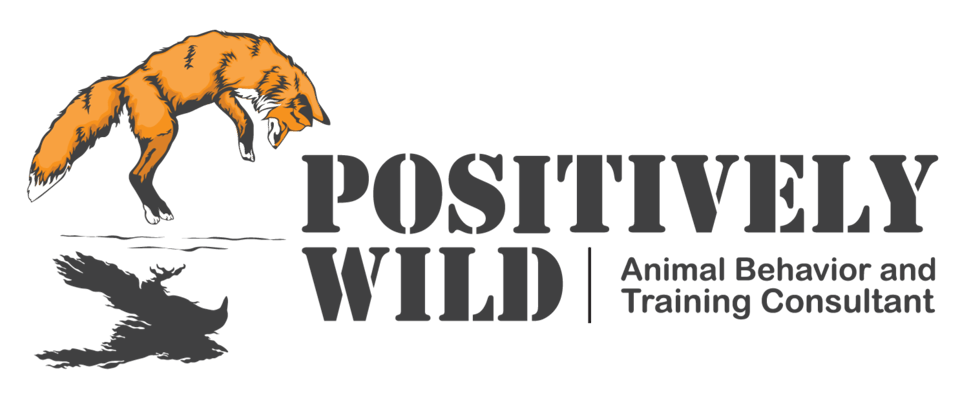 Positively Wild Apparel  Home