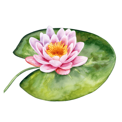 The Clay Water Lily